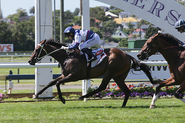 NO MORE TEARSP J Bell Stakes entrant has a younger half-brother from Rosemont Stud