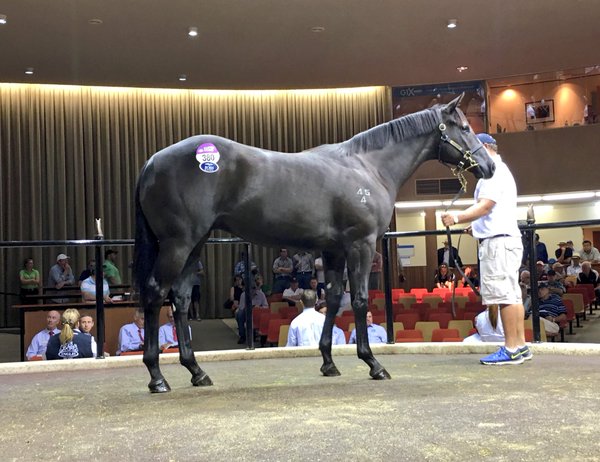 Pierro Swettenham Lot 380