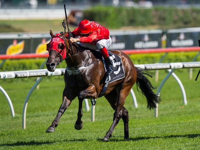 REDZEL