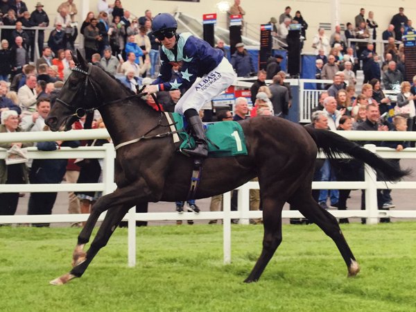 BLACK BESS