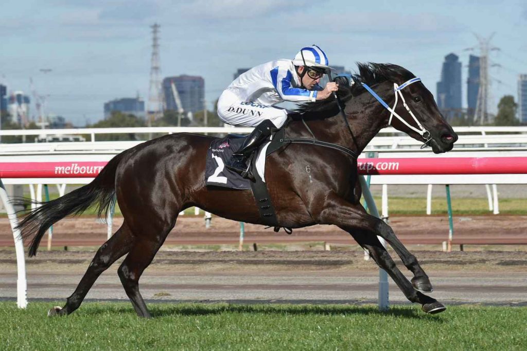 HERSTORYFlemington winner purchased by Randwick Bloodstock