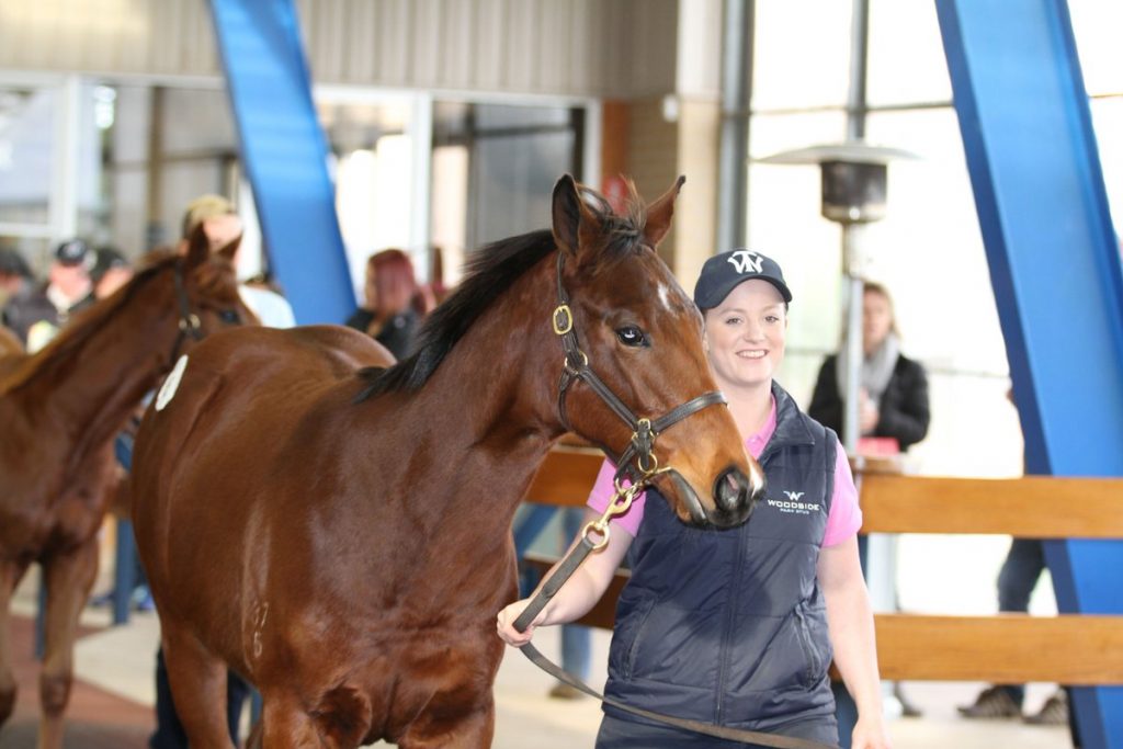 WRITTEN TYCOON - PEPPIE COLT