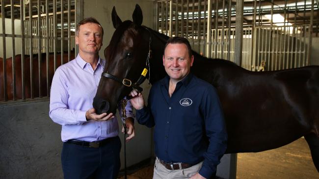Yankee Rose pictured with trainer David Vandyke and owner Scott Darby