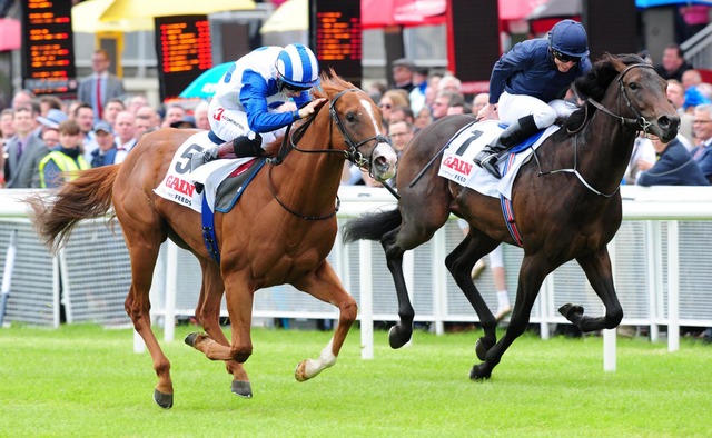 MEDICINE JACKEquiano colt (No.5) wins at the Curragh