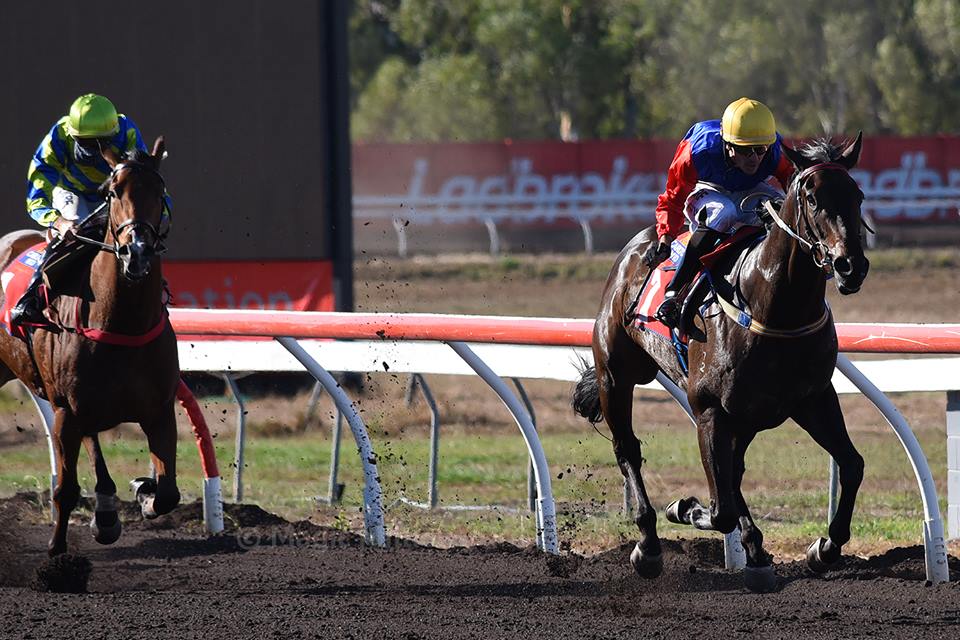 FINKE