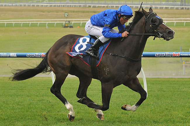 JAVA Last year’s G3 Manfred Stakes winner catalogued for Oaklands