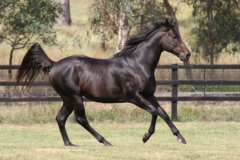 O'LONHRO