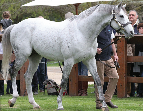 PUISSANCE DE LUNE