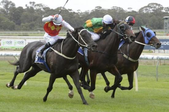 RUSHMORESon of All American bursts down the outside at Bendigo