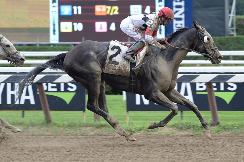 STALLWALKIN' DUDE