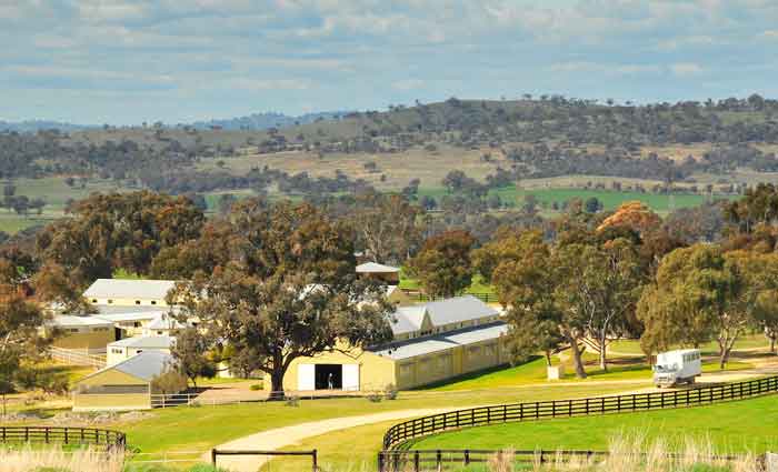 TWIN HILLS FARM