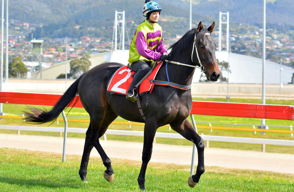 GEEGEE BLACKPRINCE