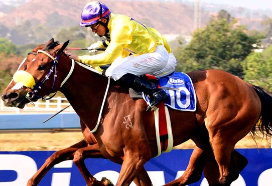 MELLA MARIAFirst stakes winner in broodmare ranks for Keep The Faith