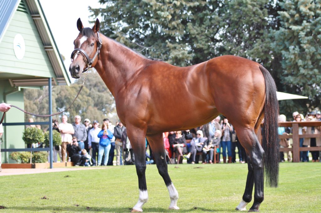 TORONADO