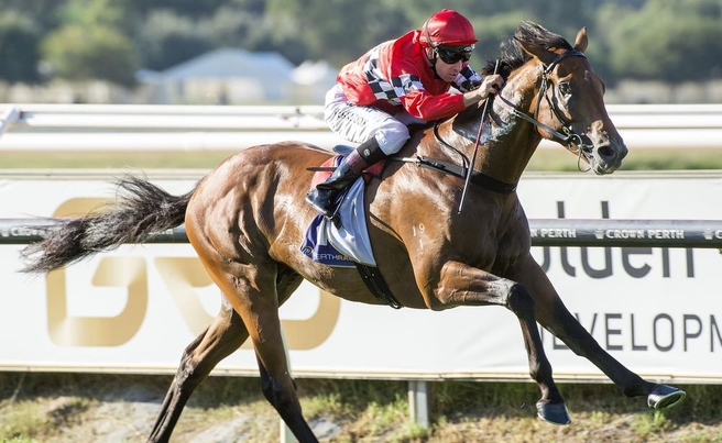 BOOM TIMEPhoto: Simon Merritt / Western Racepix