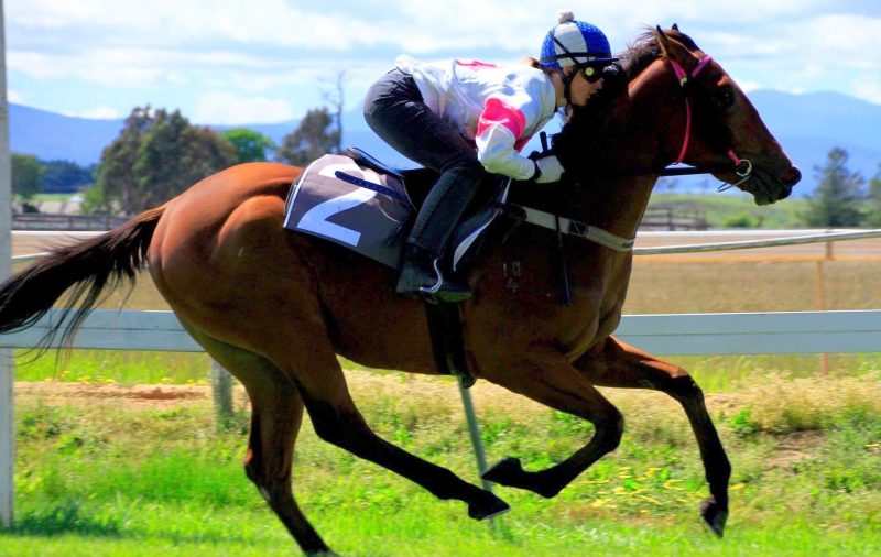 IL REGALONeeds Further filly wins a barrier trial at Longford