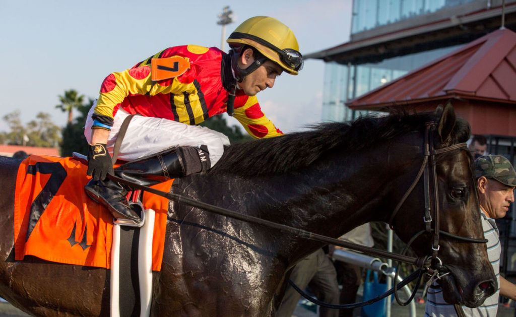 YOCKEY'S WARRIOR