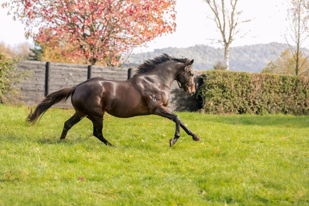 ATLANTE