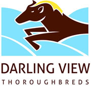 Darling View Thoroughbreds